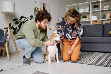 Çok ırklı genç çift, oturma odasında yerde otururken safkan köpeklerini eğitiyorlar.