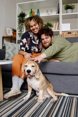 Mutlu çoklu etnik çiftler kanepede köpekleri yerde oturup sevgileriyle vakit geçirirler.