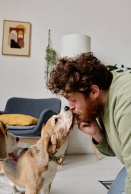 Sakallı genç adam köpeğini çok seviyor, evcil hayvanını öpüyor ve şımartıyor.