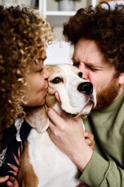 Çok ırklı genç bir çiftin her iki taraftan sevimli köpeklerini öptüğü portre.