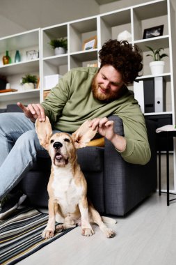 Genç sakallı adam kanepede oturuyor ve köpeği ile oynuyor.