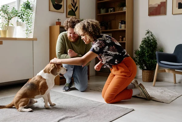 African young woman training her dog and saying it to sit with man watching for process in living room