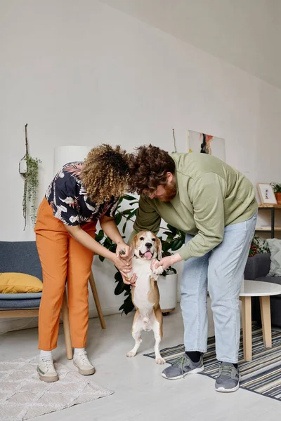 Casal Jovem Tratando Seu Cão Como Uma Criança Eles Segurando — Fotografia de Stock