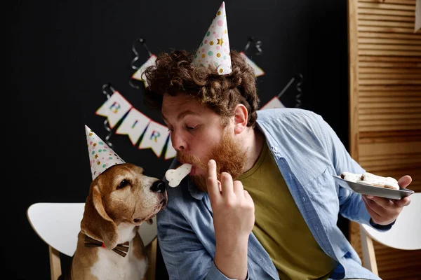Young bearded man in hat holding cookie in his mouth and feeding his dog during birthday party