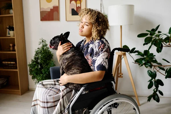 Stock image African young girl with disability sitting on wheelchair and embracing dog sitting on her knees in room