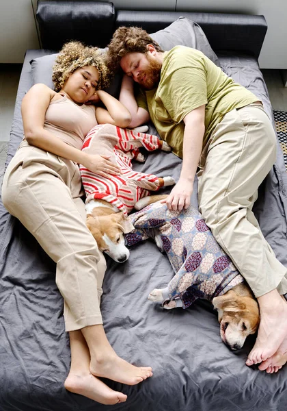 어린이가 가정의 각도에서 침실에서 여가를 보내는 의개와 침대에 — 스톡 사진