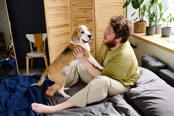 Bearded Young Owner Playing His Dog Bed Weekend Home — Stock Photo, Image