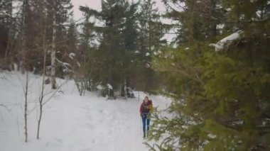 Sırt çantalı ve dağ ormanlarında yürüyüş yapan sırıklara sahip kadın turistin geniş açılı görüntüsünü aşağıya doğru eğ.