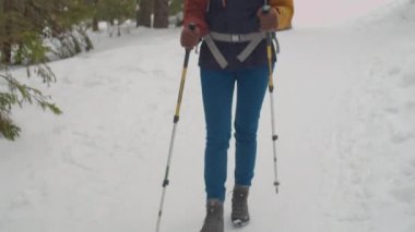 Sırt çantalı ve sırıklı bir kadının kış günü doğa yürüyüşü yaparken ormanda yürüyüşünü çek.