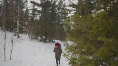 Sırt çantalı ve yürüyüş direkleriyle, kış günü doğa yürüyüşü yaparken ormanda yürüyen turistleri geniş açıyla çek.