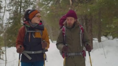 Neşeli kadın ve erkek sırt çantalarıyla yürüyor ve ormanda sırıkla yürüyor. Kış tatilinde yürüyüş yaparken gülümsüyor ve sohbet ediyorlar.