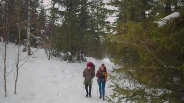 冬には一緒にハイキングをしながら バックパックやトレッキングポールで歩くカップルの広いショットを下に傾ける — ストック動画