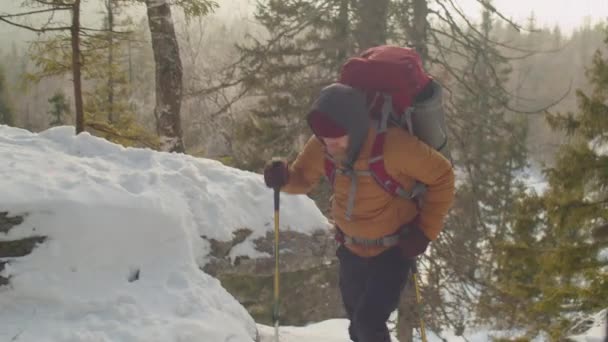Turista Masculino Con Mochila Bastones Trekking Escalando Empinados Senderos Las — Vídeo de stock