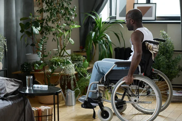 Rear view of African American man with disability sitting in wheelchair and admiring house plants in pots while sitting at home alone