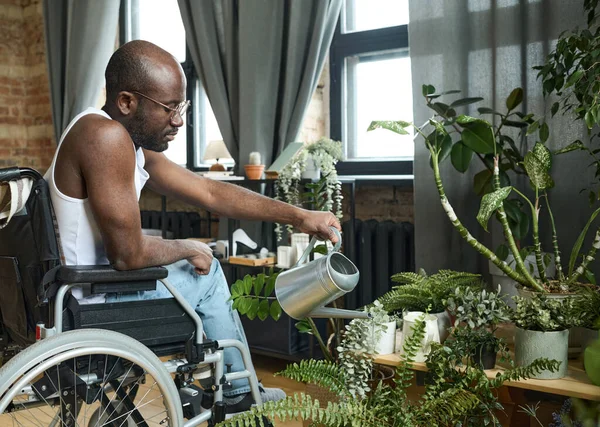 自宅でリハビリをしながら 車椅子で鉢植えの花に水をやるアフリカの男 — ストック写真