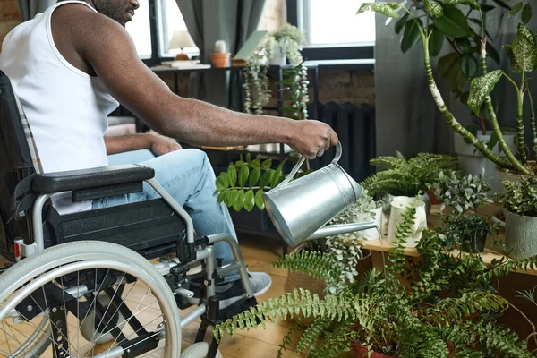 Tekerlekli Sandalyede Oturan Evdeki Bitkileri Sulayan Engelli Afrikalı Genç Adamın — Stok fotoğraf