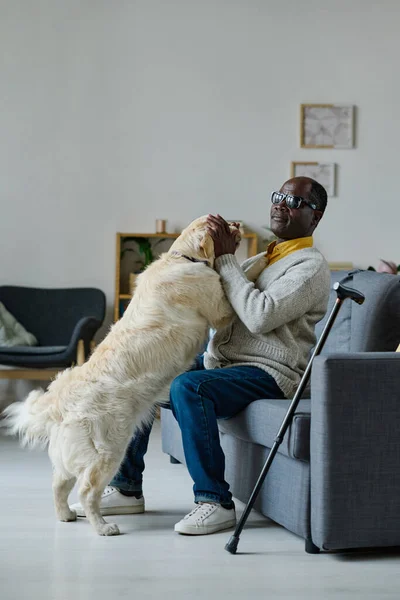 Слепой Африканский Мужчина Очках Играет Собакой Поводырем Сидящей Дома Диване — стоковое фото