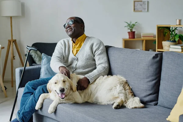Senior blind man playing with guide dog during his leisure time on sofa at home