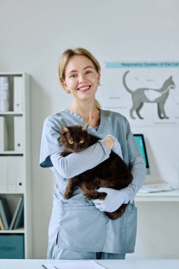 Veteriner kliniğinde çalışırken elinde şirin bir kedi tutan üniformalı genç hemşire portresi.