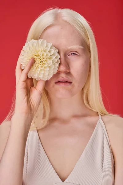 Портрет Девушки Естественной Красотой Держа Белый Цветок Перед Лицом Красном — стоковое фото