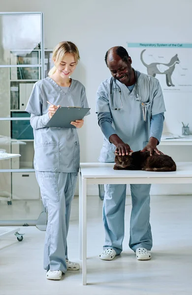 看護師が医療カードにメモを取りながら 家畜をテーブルで調べるアフリカの獣医師 — ストック写真