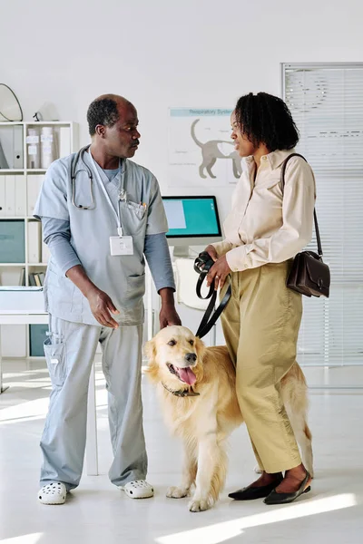African vet doctor in uniform talking to owner of dog while they visiting vet clinic