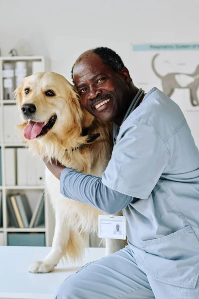 アフリカのプロの獣医師が純血犬を抱き込み 獣医の部屋でカメラで微笑む姿 — ストック写真