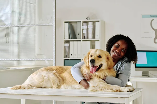 若いですアフリカの獣医の医師の肖像犬を受け入れ オフィスでカメラで笑顔 — ストック写真
