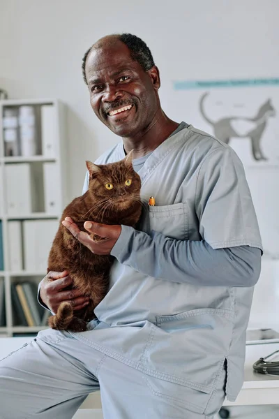 Portrait Médecin Vétérinaire Africain Mature Uniforme Tenant Chat Domestique Souriant — Photo
