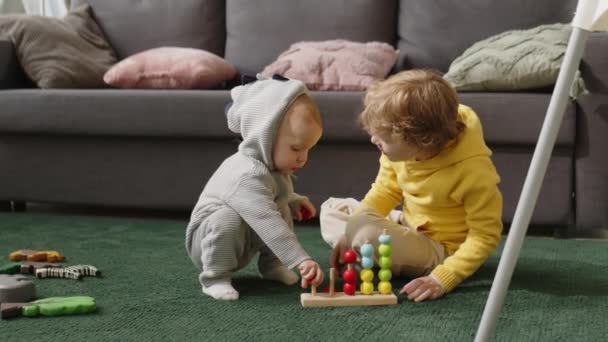Küçük Çocuk Evde Yerde Oturup Küçük Kardeşiyle Geliştirme Oyuncağı Oynuyor — Stok video