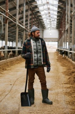 Tarım çiftliğinde kürekle ayakta duran Farm, ahırda saman temizliyor.
