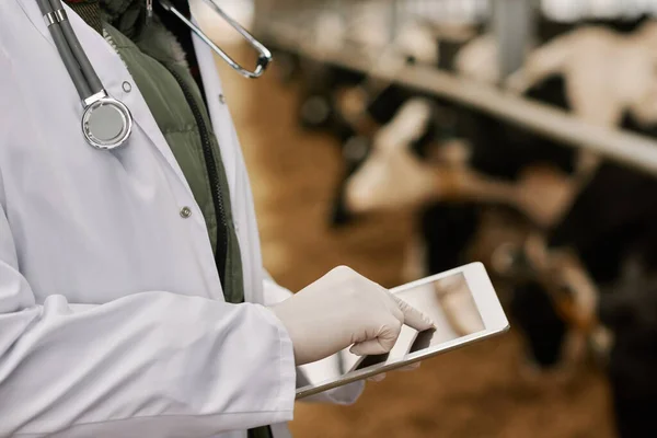 Close-up of veterinarian in uniform entering information online using digital tablet during his work on farm