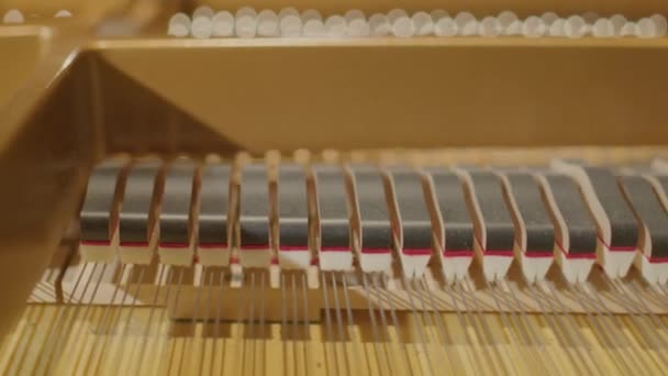 在演奏音乐的同时 关闭大钢琴内的锤和弦的选择性对焦镜头 — 图库视频影像
