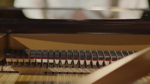 从钢琴盖下的铁锤和琴弦向舞台上演奏音乐的专业钢琴家倾斜 — 图库视频影像
