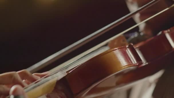 コンサート中に音楽を演奏する若いアフリカ系アメリカ人バイオリニストのクローズアップショット — ストック動画