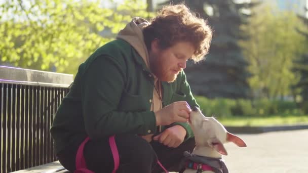 Молодий Чоловік Сидить Лавці Парку Дає Частування Милій Собаці Стаффордширського — стокове відео
