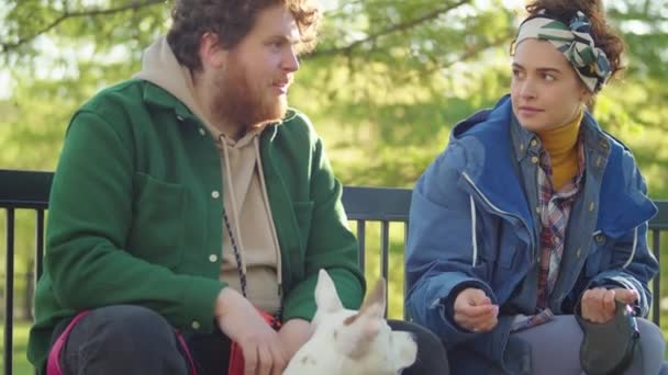 男人和女人一起坐在公园的长椅上聊天 而他们的科吉和斯塔福德郡的宠物狗在玩耍 — 图库视频影像