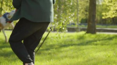 Staffordshire Teriyeri köpeği, parkta neşeli erkek sahibiyle çekiştirme oyunu oynarken yüzük oyuncağını tutuyor ve havada dönüyor.