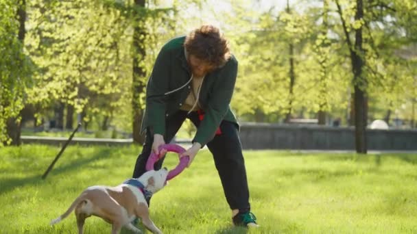 在公园里与男性主人玩耍时 精力充沛的斯塔福德郡宠物狗一边跑一边抓戒指玩具 — 图库视频影像