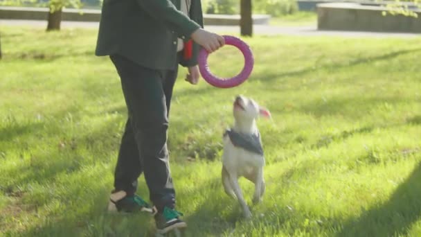男人在公园的绿草上散步 拿着戒指玩具 一边兴奋地踩踏郡的狗玩着它 — 图库视频影像