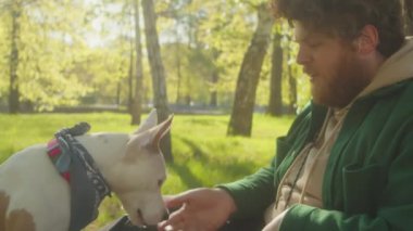 Şirin staffordshire Teriyeri köpeği, mutlu bir erkek sahibiyle park yerinde vakit geçirirken ödül için yalvarıyor.