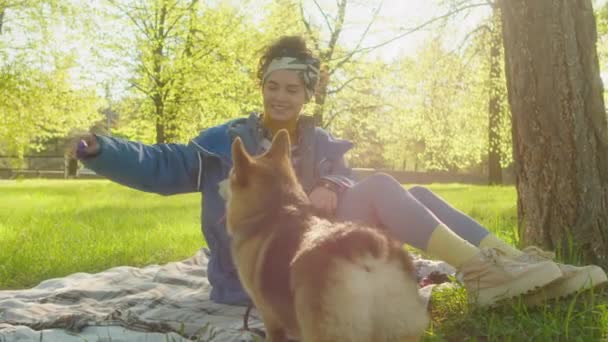Gelukkig Vrouw Zitten Deken Park Spelen Met Twee Corgi Honden — Stockvideo