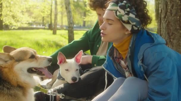 在公园的绿色草坪上 与男性朋友坐在一起 并与可爱的科尔吉犬粘连在一起的年轻女子的倾斜镜头 — 图库视频影像