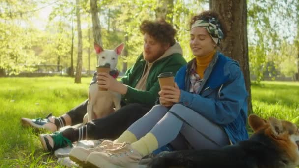 年轻男女们坐在绿色的草坪上 一边喝咖啡 一边聊天 一边和狗在公园里呆着 — 图库视频影像