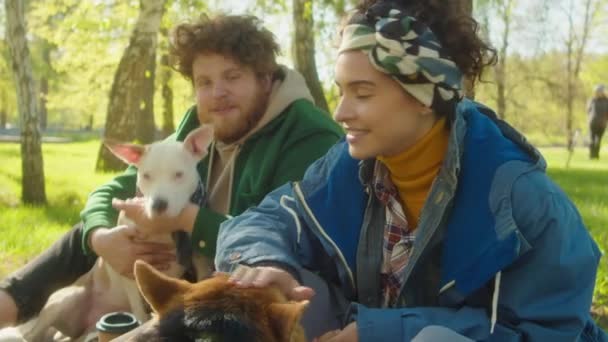 年轻美丽的女人在公园的绿色草坪上爱抚可爱的科尔吉犬 而她的男朋友则与宠物狗依偎在一起 — 图库视频影像