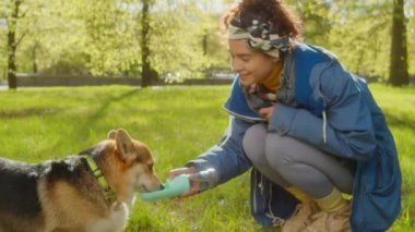 Parkta yürürken Corgi Dog 'a su verirken elinde şişe tutan genç bir kadın.
