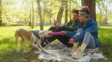 Genç mutlu çift parkta battaniyelerde oturuyor, cep telefonu kullanıyor ve enerjik staffordshire terrier köpeğiyle oynuyorlar.