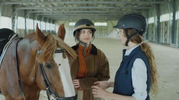 Jonge Vrouw Helm Strelen Kastanje Paard Praten Met Vrouwelijke Paardrijinstructeur — Stockvideo
