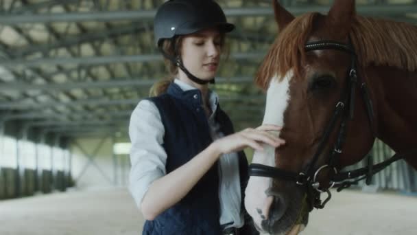 戴着头盔的年轻职业女性骑手站在竞技场上抚摸着可爱的栗色马 — 图库视频影像