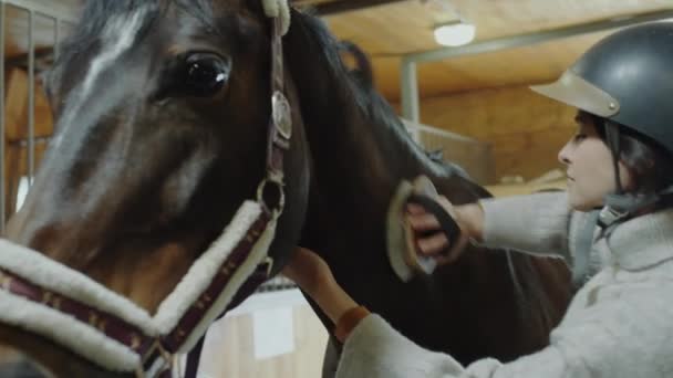 Junge Frau Reithelm Pflegt Süßes Pferd Mit Bürste Stall — Stockvideo